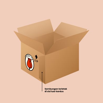 Cardboard Box Structure Tulip 