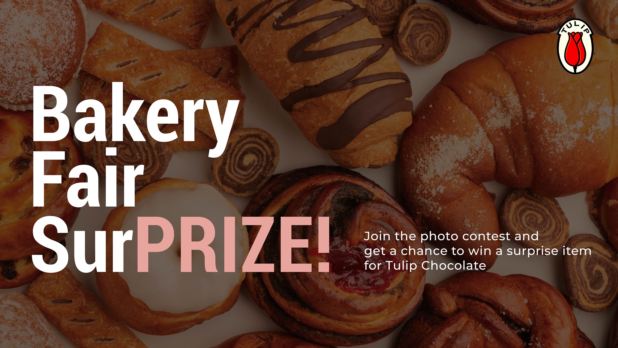 [LP] Tulip Ruffle Contest-01 (3)